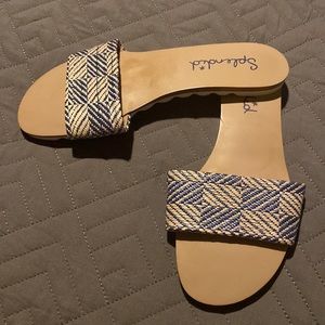 Splendid Sandals
